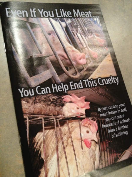 The fight against animal cruelty